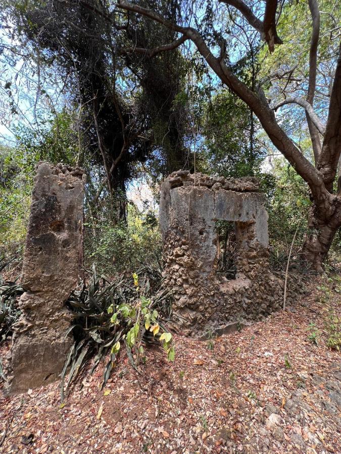 Chole Foxes Lodge Bagian luar foto