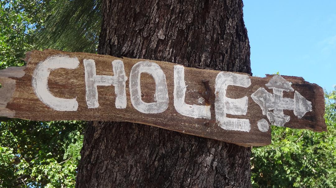 Chole Foxes Lodge Bagian luar foto